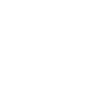 audio icon