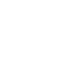 security icon